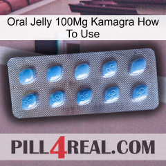 Oral Jelly 100Mg Kamagra How To Use viagra3